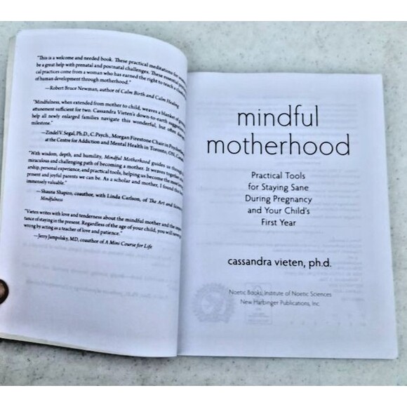 Mindful Motherhood: Practical Tools for Staying Sane During Pregnancy & First Yr - Picture 3 of 6